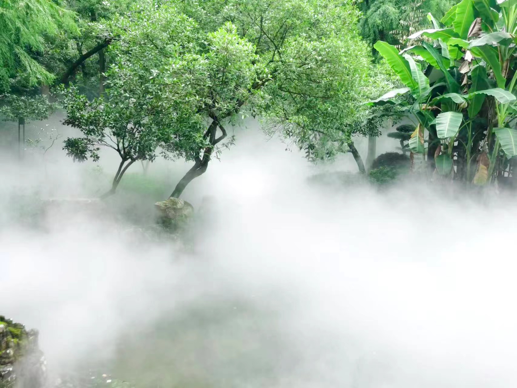 霧森系統(tǒng)這三個(gè)基礎(chǔ)功能，可以了解一下